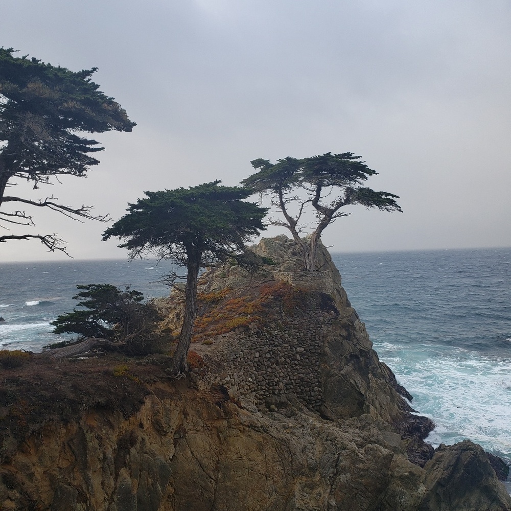 Meet your Posher, Lusynda